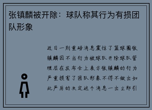 张镇麟被开除：球队称其行为有损团队形象