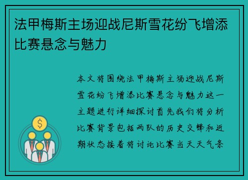 法甲梅斯主场迎战尼斯雪花纷飞增添比赛悬念与魅力