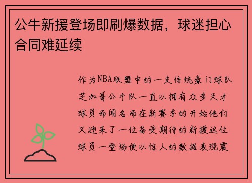 公牛新援登场即刷爆数据，球迷担心合同难延续